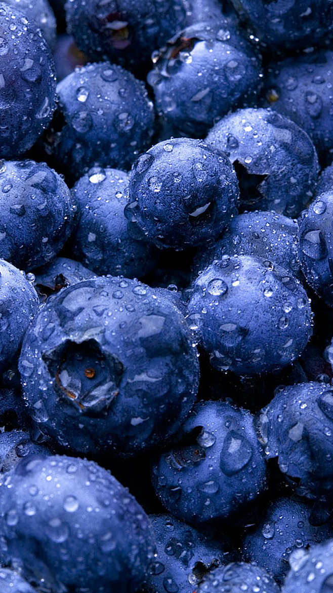 【蓝莓】美食水果 。80000张优质采集...