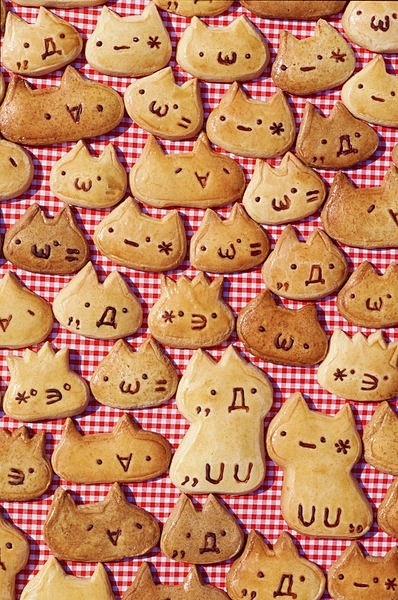 #饼干# #猫# #娘口# 好萌！！