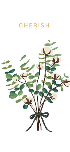 流言以衡采集到插画植物