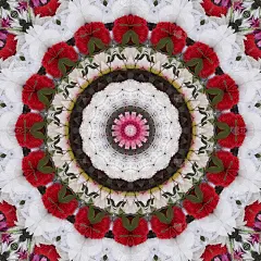 美丽的红白花型抽象曼陀罗背景图像。家庭装饰和婚礼背景图像。纺织品，地毯，门垫和瓷砖背景图像打印。灵性