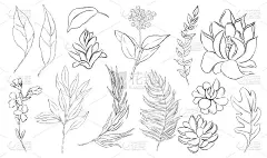 黑色轮廓的夏季diy收集用手绘的热带干棕榈叶、绿叶、花朵。浪漫的花束完美的婚礼贺卡，邀请和更多