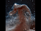 Hubble Sees a Horsehead of a Different Color Astronomers have used NASA's Hubble Space Telescope to photograph the iconic Horsehead Nebula in a new, infrared light to mark the 23rd anniversary of the famous observatory's launch aboard the space shuttle Di