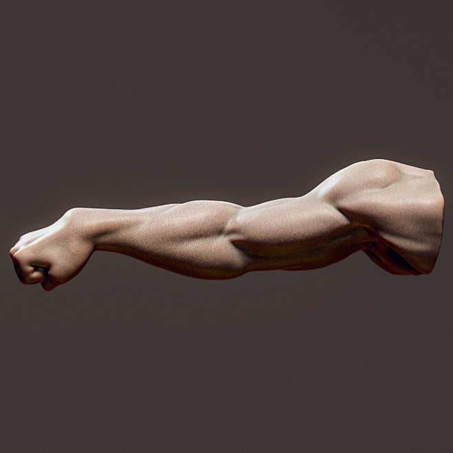Male Arm sculpts