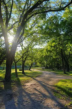 乡村公园廊道高清摄影图