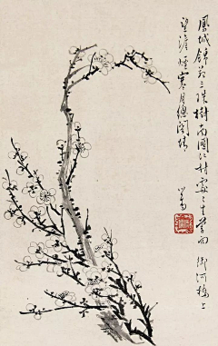 雪小石采集到国画---竹、梅花