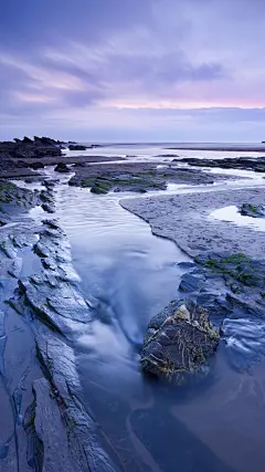 ＠大圣中的战斗菊#唯美#壁纸#手机壁纸#电脑壁纸#风景