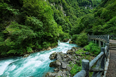 橘枳子采集到喇叭河
