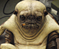 pug creature close up by BOULARIS