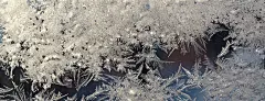 旭日从结冰的窗户射进来。季节性银色冬季背景与水晶霜图案