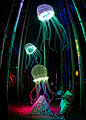 A Great Image : See more