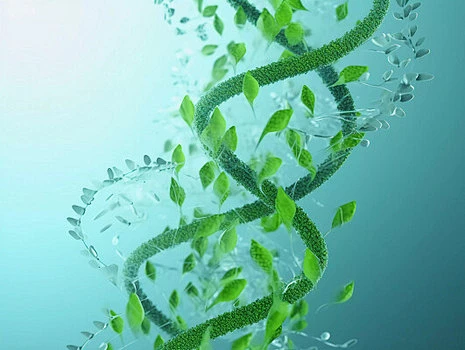 医疗健康医疗科技生物科技绿色叶子DNA分子-花瓣网