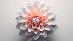 简约花朵花卉素材图片壁纸