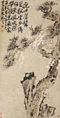 李鱓画松