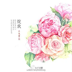 凑九张近期的手绘植物系列，中式水彩插画，花叶与诗词。 ​​​​