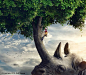 SAVE TREE SAVE ANIMAL : Save Tree- Save AnimalRetouching Work @北坤人素材