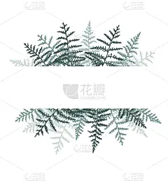 natural background with bracken