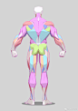 男性肌肉怎么画？
分享一组男性肌肉结构动态素材～#大木画画速写打卡##速写##板绘 ##人体绘画# ​​​​
