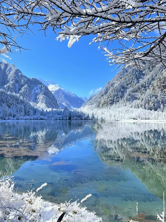 强烈推荐11月后的九寨沟，雪景+半价+人...