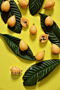 loquat