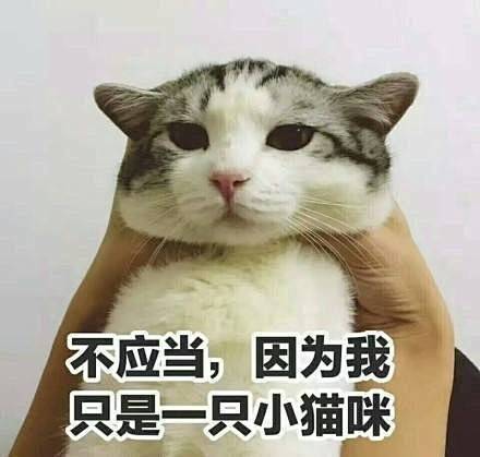 QQ图片20170628132404
