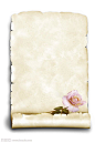 玫瑰花与怀旧羊皮纸背景