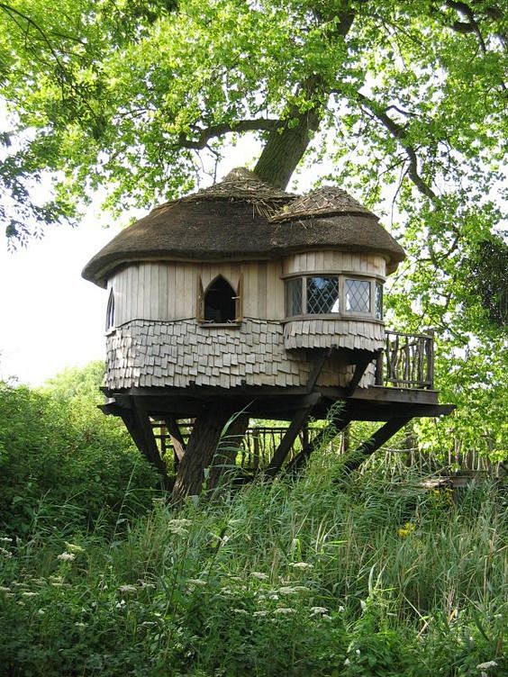 treehouse