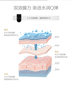 su湘采集到肌肤结构