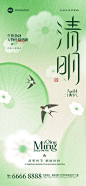 清明节弥散渐变燕子油伞雨海报