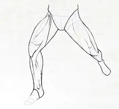 腿部素材