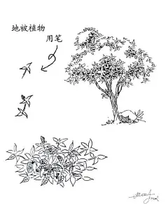 植物速写入门技法 . 。更多精彩内容敬请关注：@书画界  #书画知识大全# #书画界# #文房四宝#