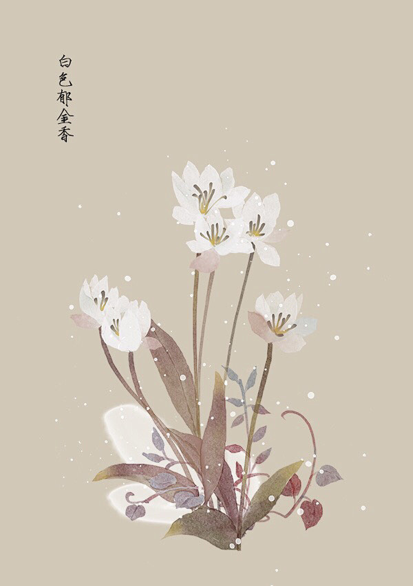 水彩 植物花卉 插画 artistic青...