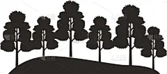 自然,地形,背景,野生动物,环境,植物群,公园,枝繁叶茂,自然美,云杉