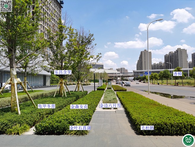 长沙卓越洋湖晴翠（2022年8月）-花瓣网