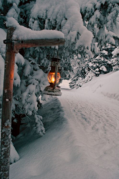 ╰☆随风飘舞彡采集到冰天雪地