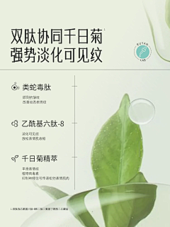 车厘子炸弹采集到排版