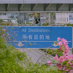 蔡青吻采集到4