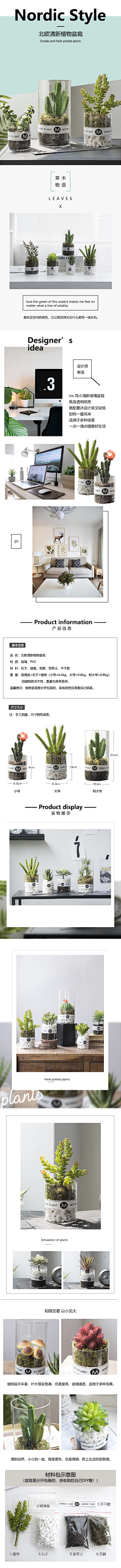 晴晴ai玲玲采集到绿植类详情页海报