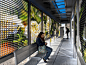 catherine widgery transforms bus stops into virtual gardens : 'leaves of wind's' dramatically enlarged photographs of local plants and flowers create virtual gardens-inviting environments for riders of el paso's r.t.s.