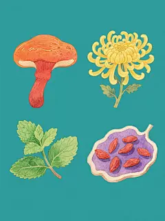 系列插画，水彩质感，手绘风格，4个完全不同的中药材，规整排布，每个元素独立纯色背景，色彩鲜艳明快，第一幅为橙红色灵芝，第二幅为黄色菊花，第三幅为绿色薄荷，第四幅为紫色枸杞，元素细节丰富，边缘柔和，光影自然，整体风格统一，构图均衡，画面简洁，无文字，无logo，无二维码，信息传达清晰，符合中药材主题的视觉表现