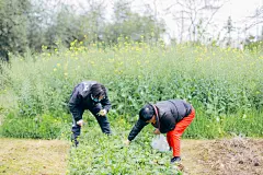 清明已经过去一个月

摄影：洪小漩

作为拖延症晚期患者，我就不责备自己什么了。

五一假期都结束了，清明小长假的图我却没有来得及整理。

拖延症也就算了，还健忘，估计再过几天，我都要把清明节回过家的事抛诸脑后了。

零星记录一些吧。

比如，自疫情起不曾回过家的我们，搭乘朋友的车，从下午六点多出发，一路颠簸，直到凌晨一点才顺利下高速。

下车后直接找了夜宵店饱腹一顿后才陆续回家，休整一番直到凌晨约莫三点才真正入睡。睡前把给妈妈的话放在客厅。

第二日，睡到自然醒的我们下楼，只见母亲一边张罗早饭，一边说：