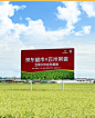 【五米常香五常大米】五米常香【京东基地 有机五常大米】 2024当季新米 原粮稻花香2号10斤【行情 报价 价格 评测】-京东