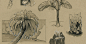 SKETCH on Behance