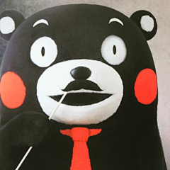 wyyyyyw采集到kumamon