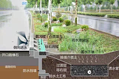 陆qqqqqqqqq采集到雨水花园