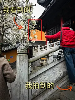 我看到的VS我拍到的｜南京春日壁纸限时上新 - 小红书