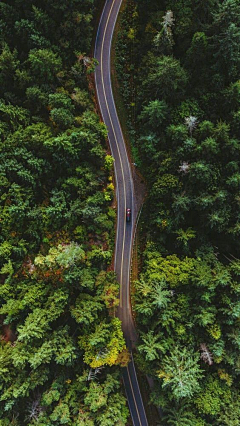 啦啦啦gl采集到背景