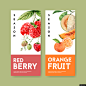 写实水果海报 新鲜水果插画 水果色背景 水果海报 水果组合搭配 五彩水果插画