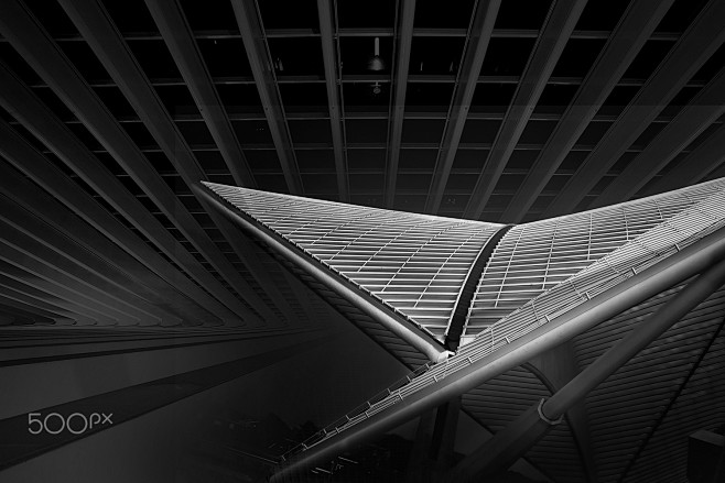Vision II by Arnd Go...
