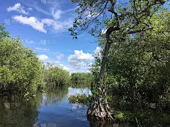 安静的