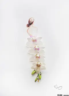 马来西亚艺术家Zhi Wei花卉创意插画